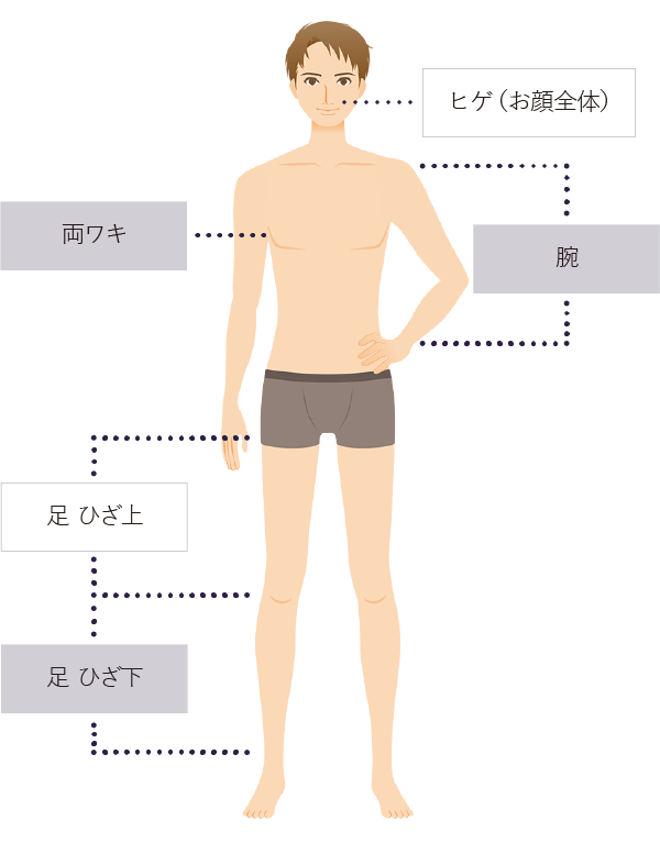 初回限定の体験カ所ヒゲ・両ワキ・腕・ひざ上・ひざ下